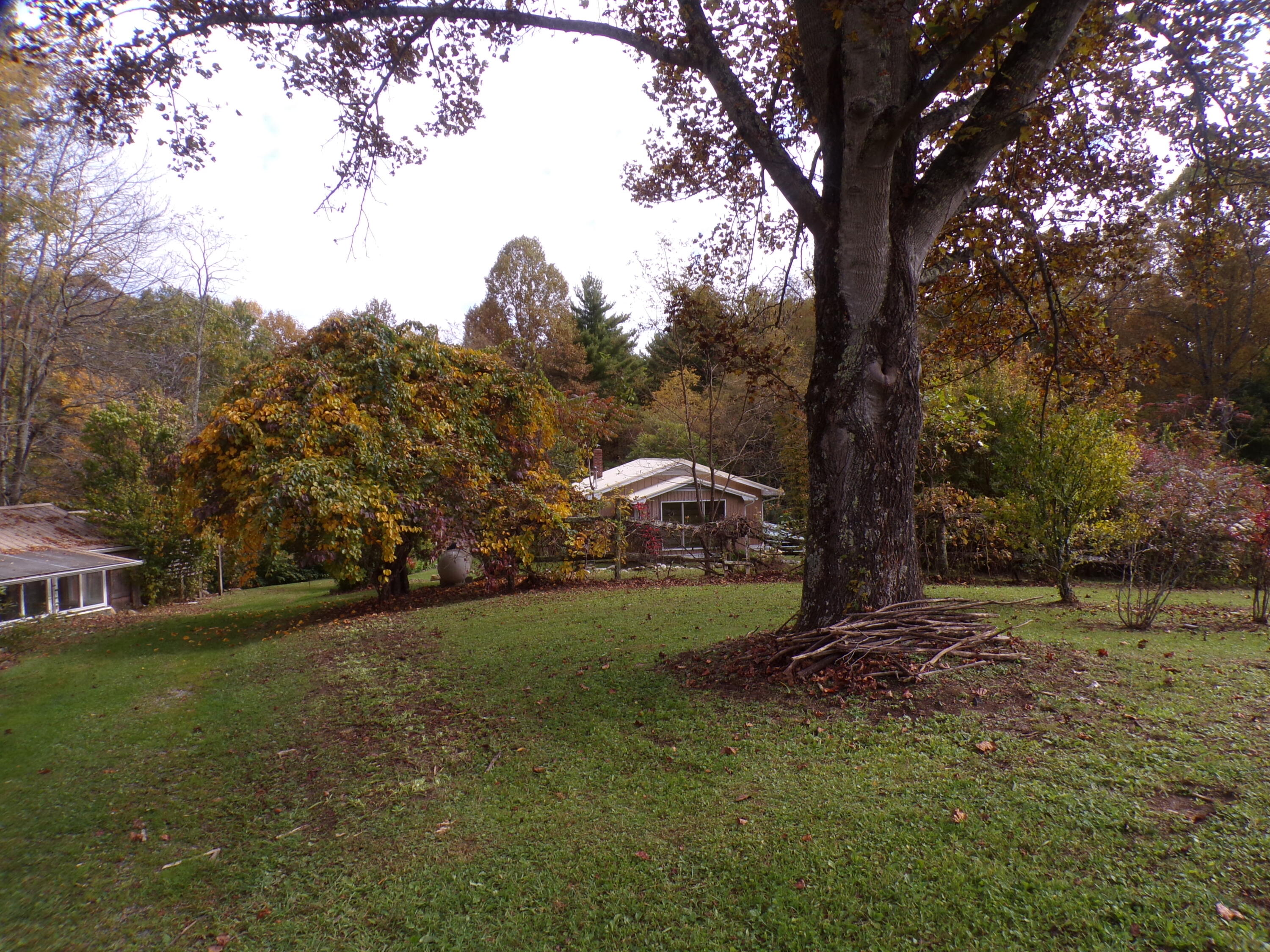 658 Hopper Road Shady Valley, TN 37688 - Photo 4 of 66 103_6397