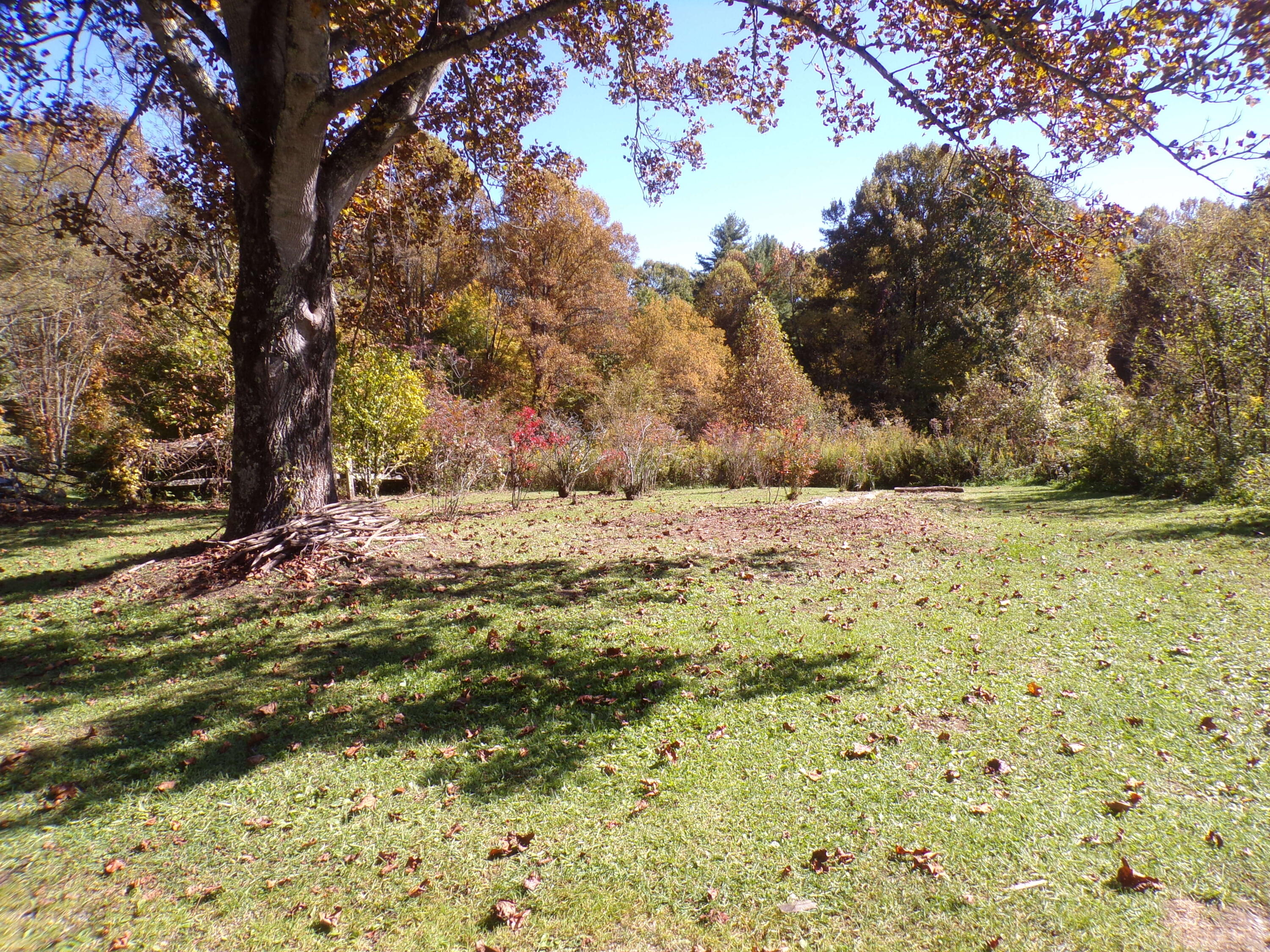 658 Hopper Road Shady Valley, TN 37688 - Photo 44 of 66 103_6473