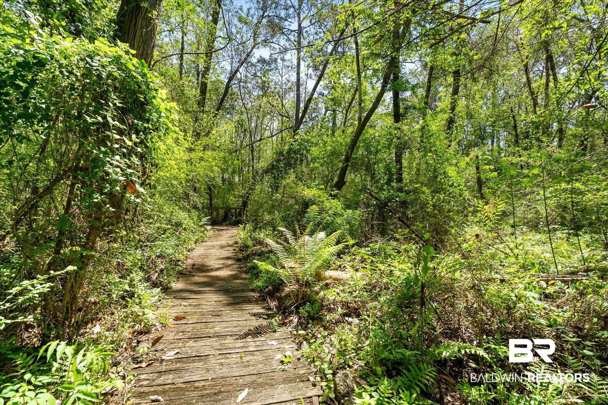 16620 Ferry Road Fairhope, AL 36532 - Photo 22 of 28 View of local wilderness