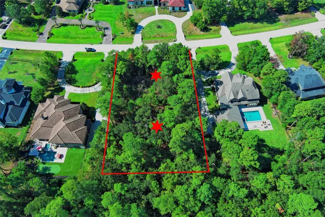 a view of a garden with plants