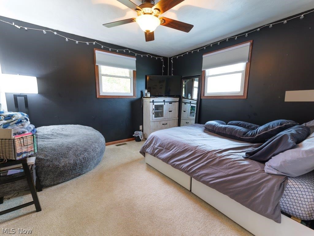 4515 Buss Road Wooster, OH 44691 - Photo 21 of 28 Gallery Image 21