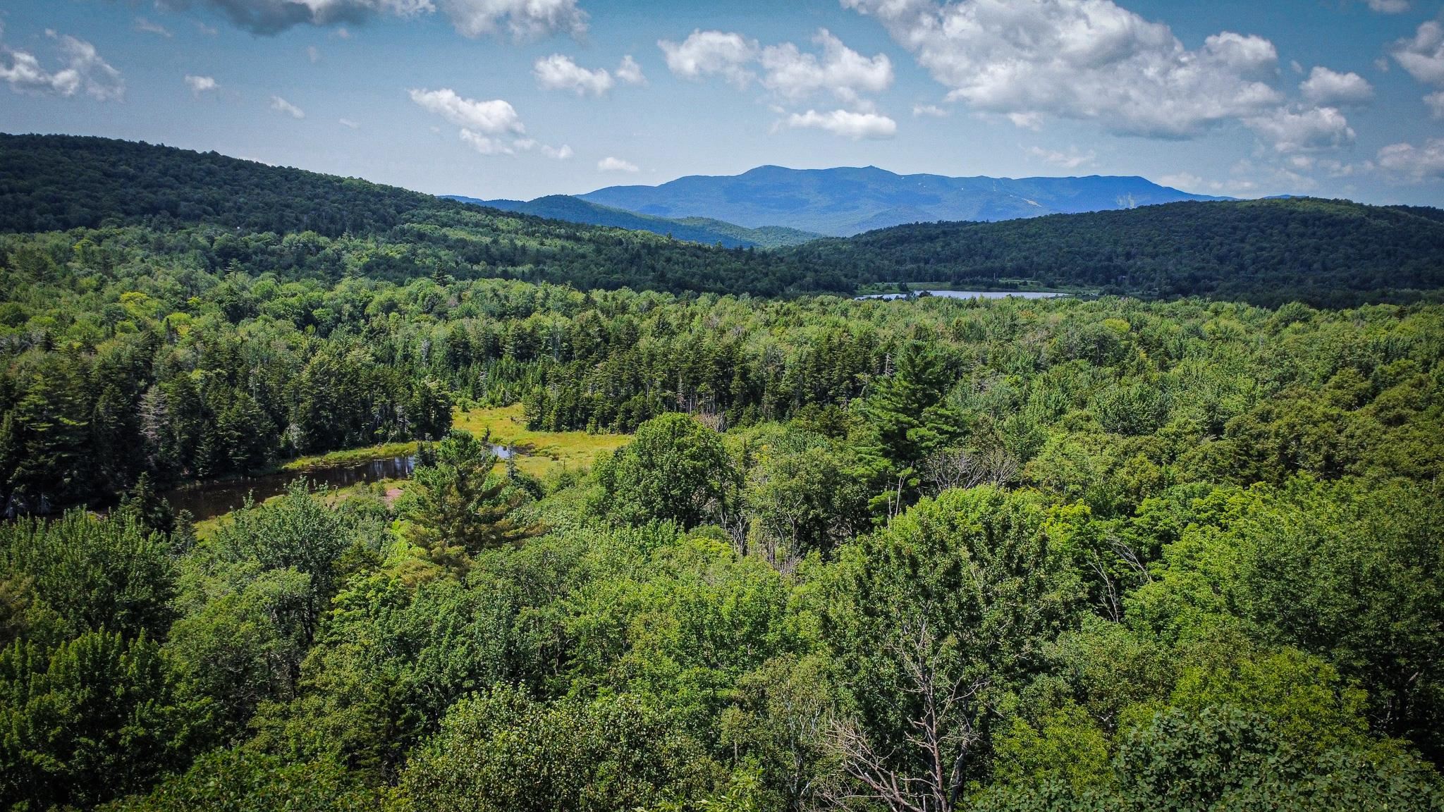 0 Prickly Mountain Road Warren, VT 05674 - Photo 4 of 8