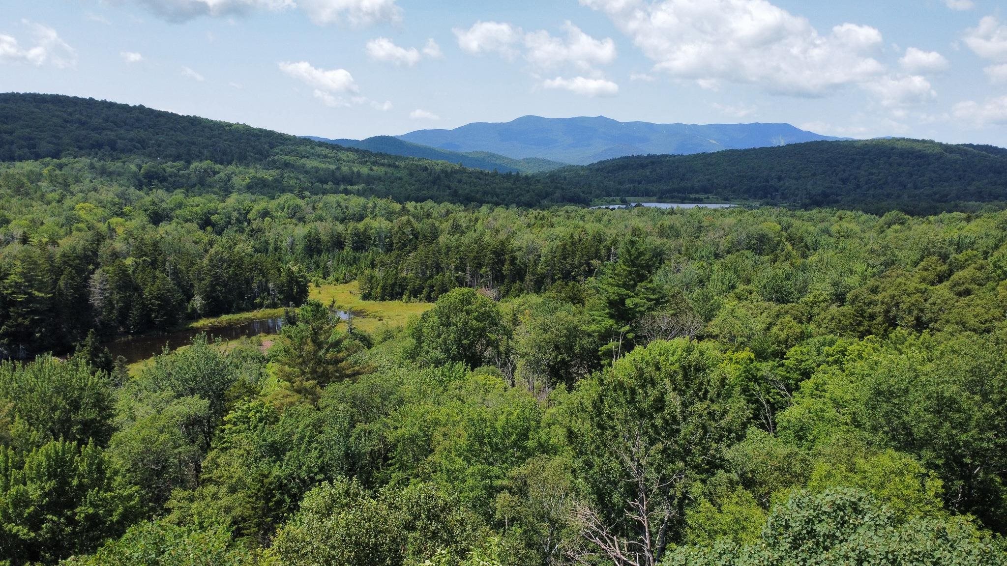 0 Prickly Mountain Road Warren, VT 05674 - Photo 5 of 8