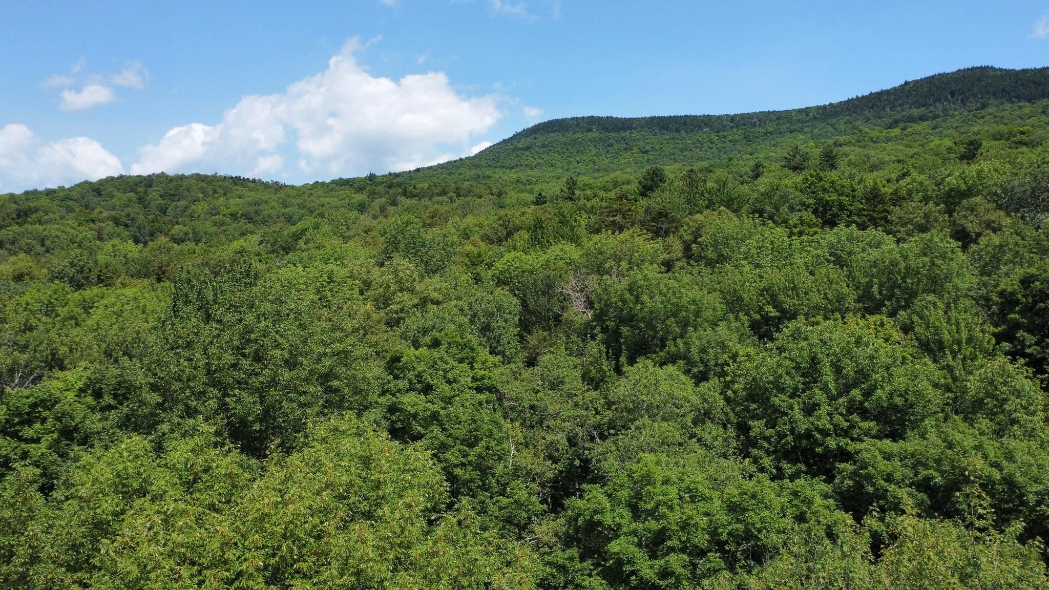 0 Prickly Mountain Road Warren, VT 05674 - Photo 6 of 8