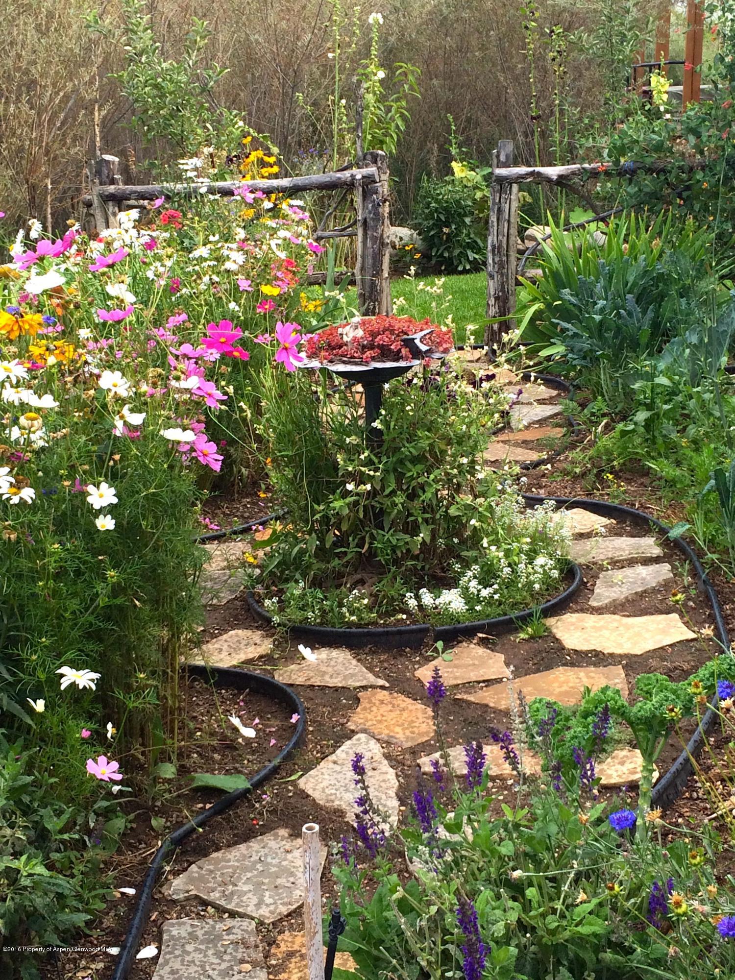 344 Sopris Circle Basalt, CO 81621 - Photo 29 of 31 a view of a flower in a garden