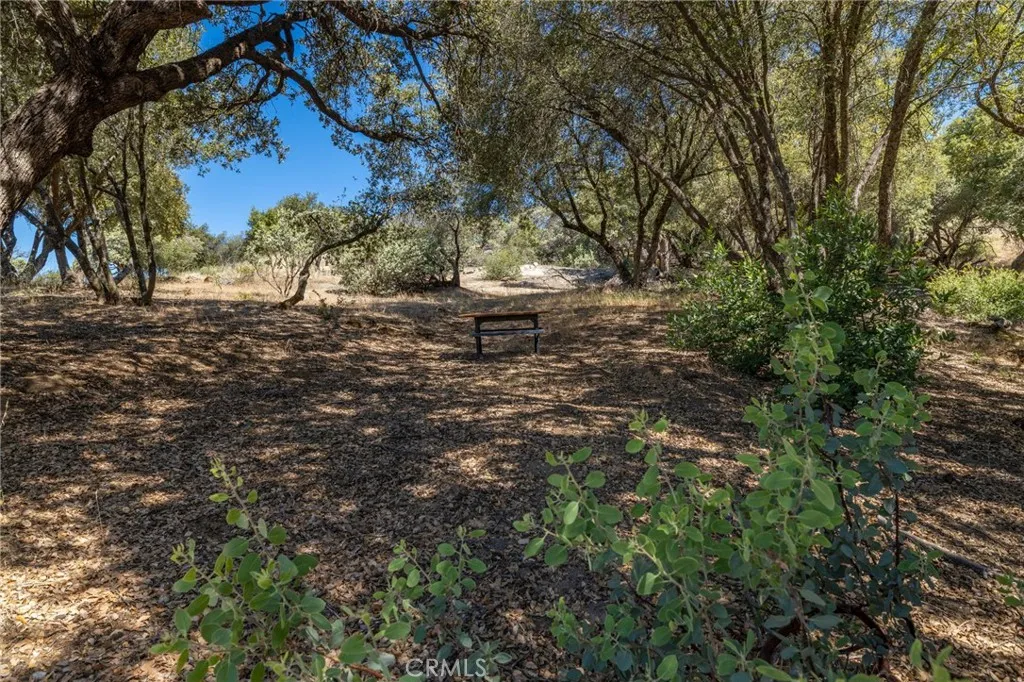 49 Old Yosemite Road Oakhurst, CA 93644 - Photo 3 of 41 Gallery Image 3