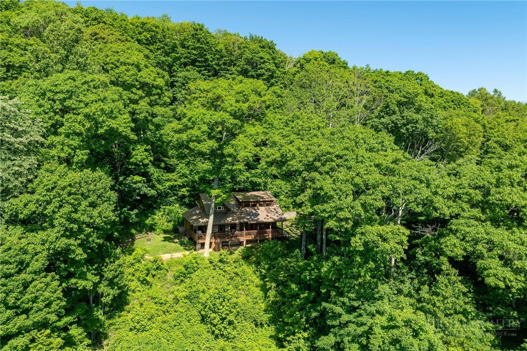 1260 Fork Ridge Road Zionville, NC 28698 - Photo 4 of 50