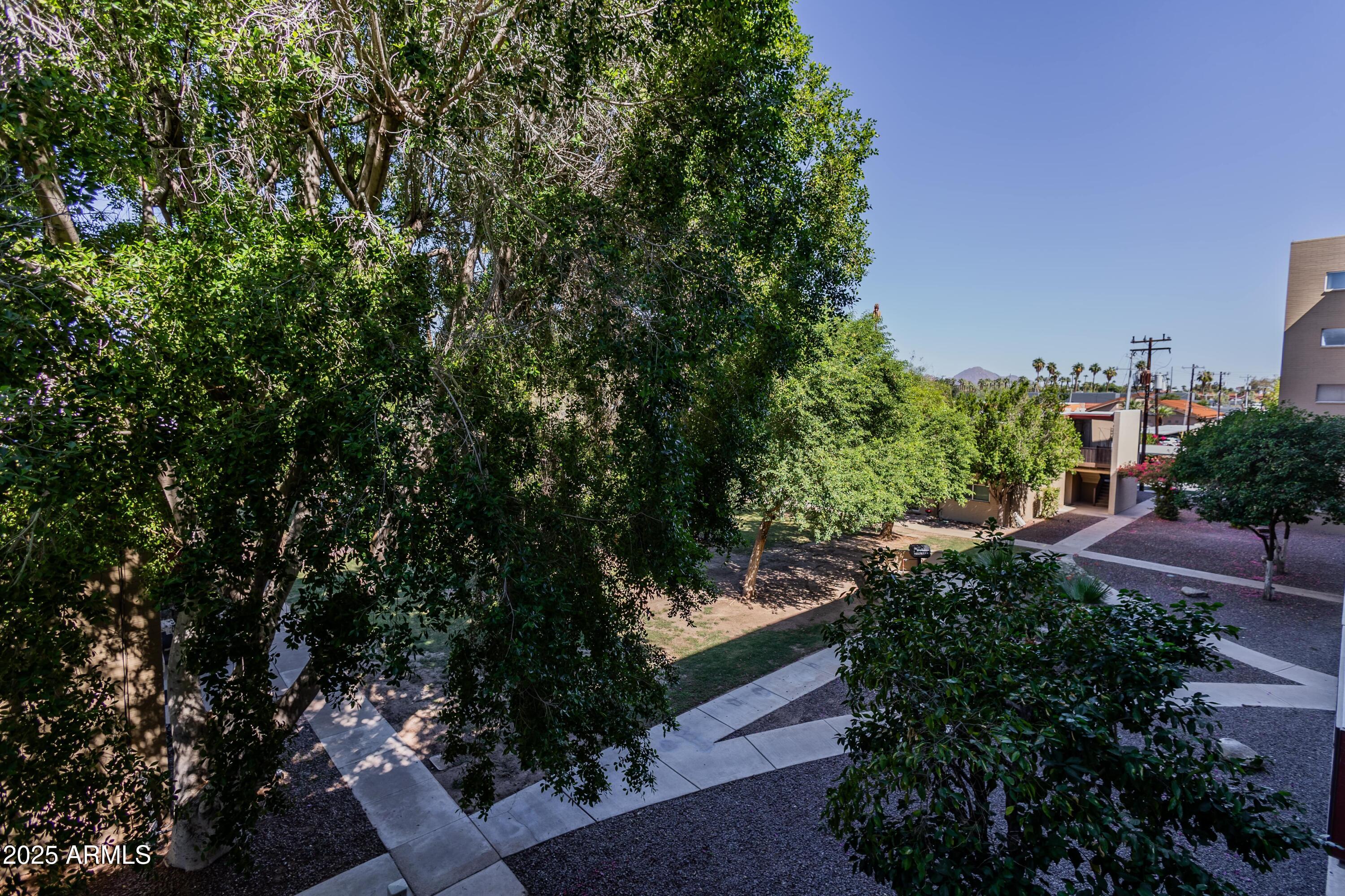 353 East Thomas Road, Unit C307 Phoenix, AZ 85012 - Photo 47 of 51 Balcony 2