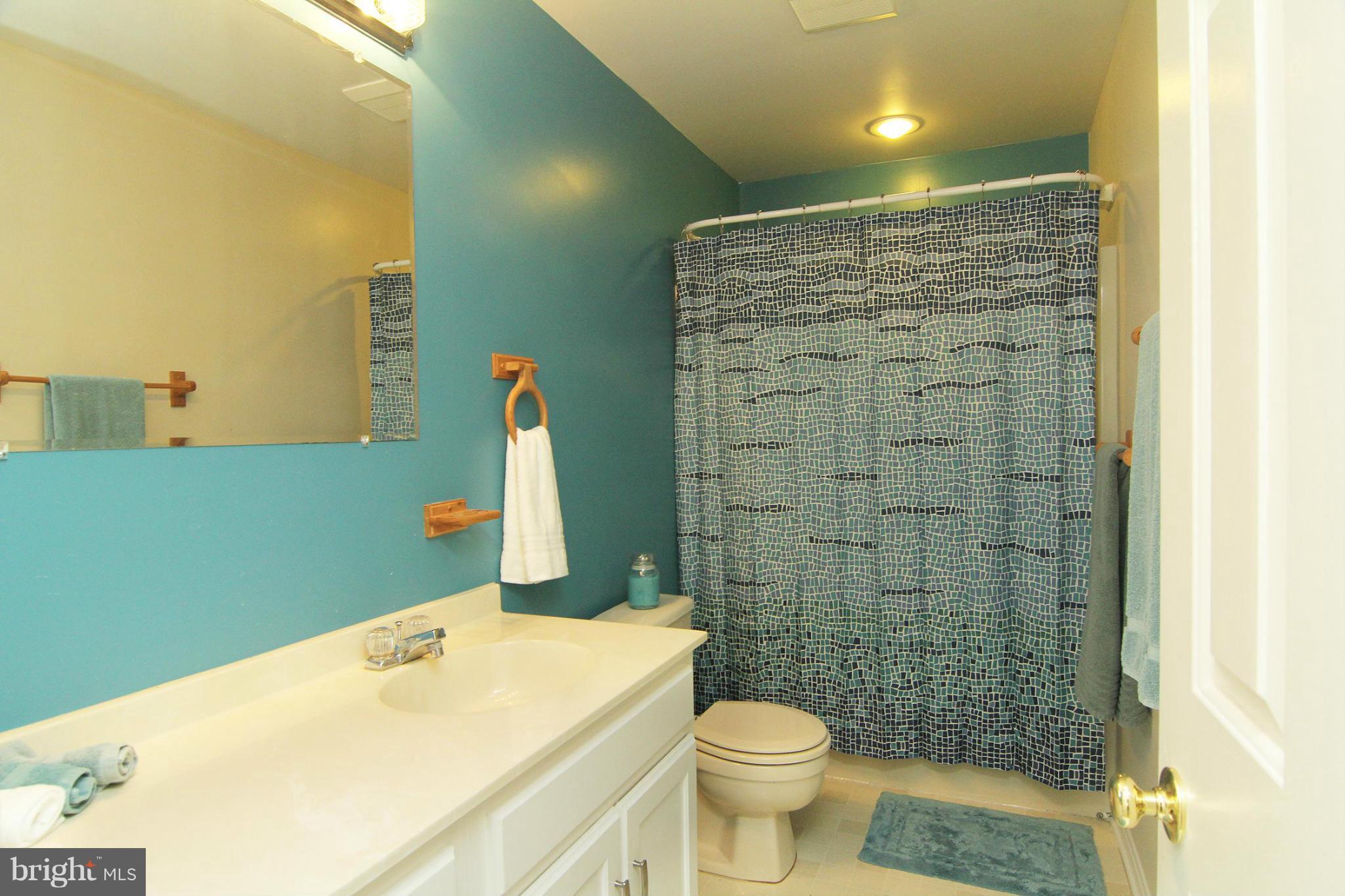 4770 South Reyburn Court Mount Airy, MD 21771 - Photo 16 of 30 Bath