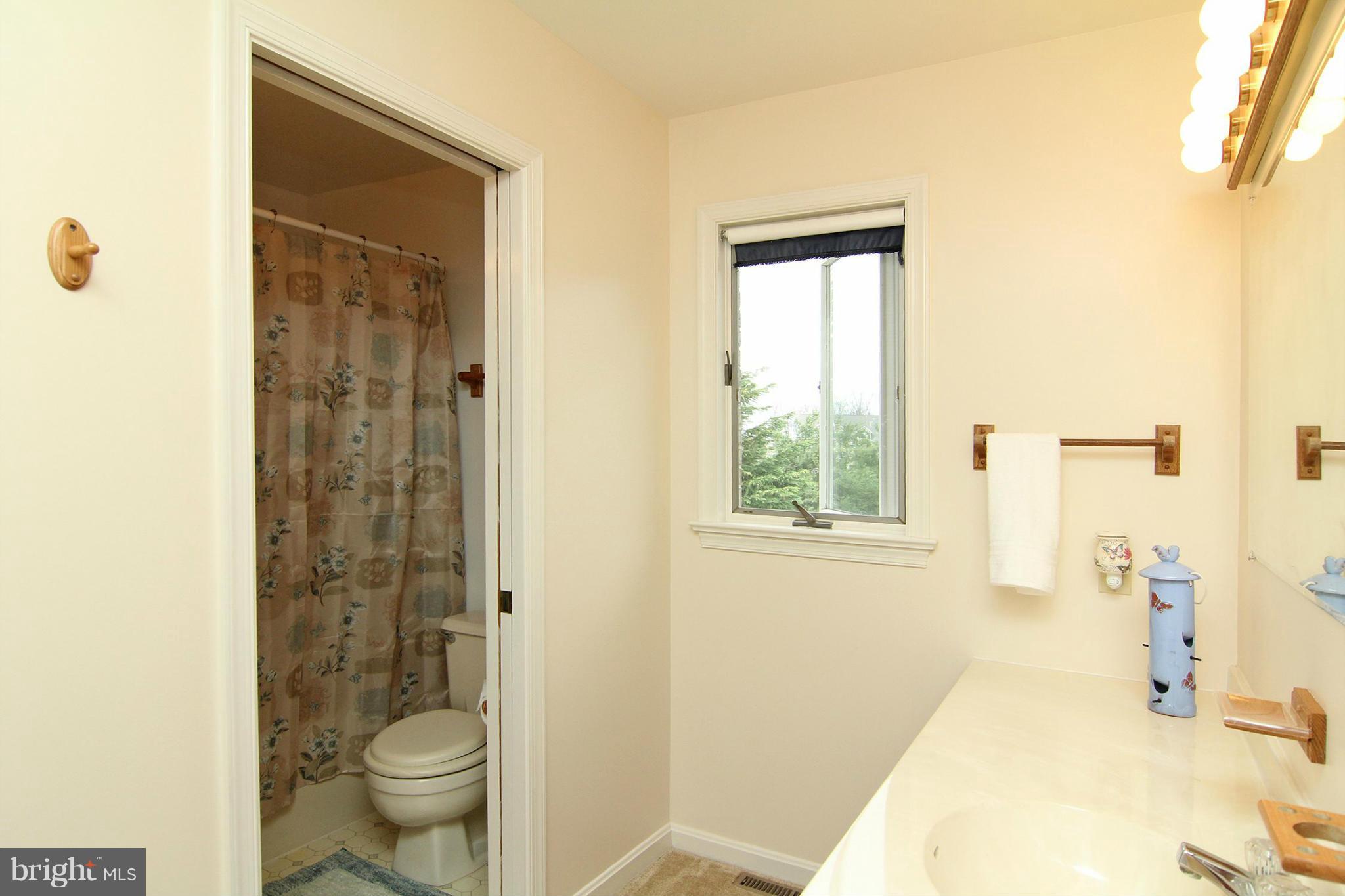 4770 South Reyburn Court Mount Airy, MD 21771 - Photo 19 of 30 Bath (Master)