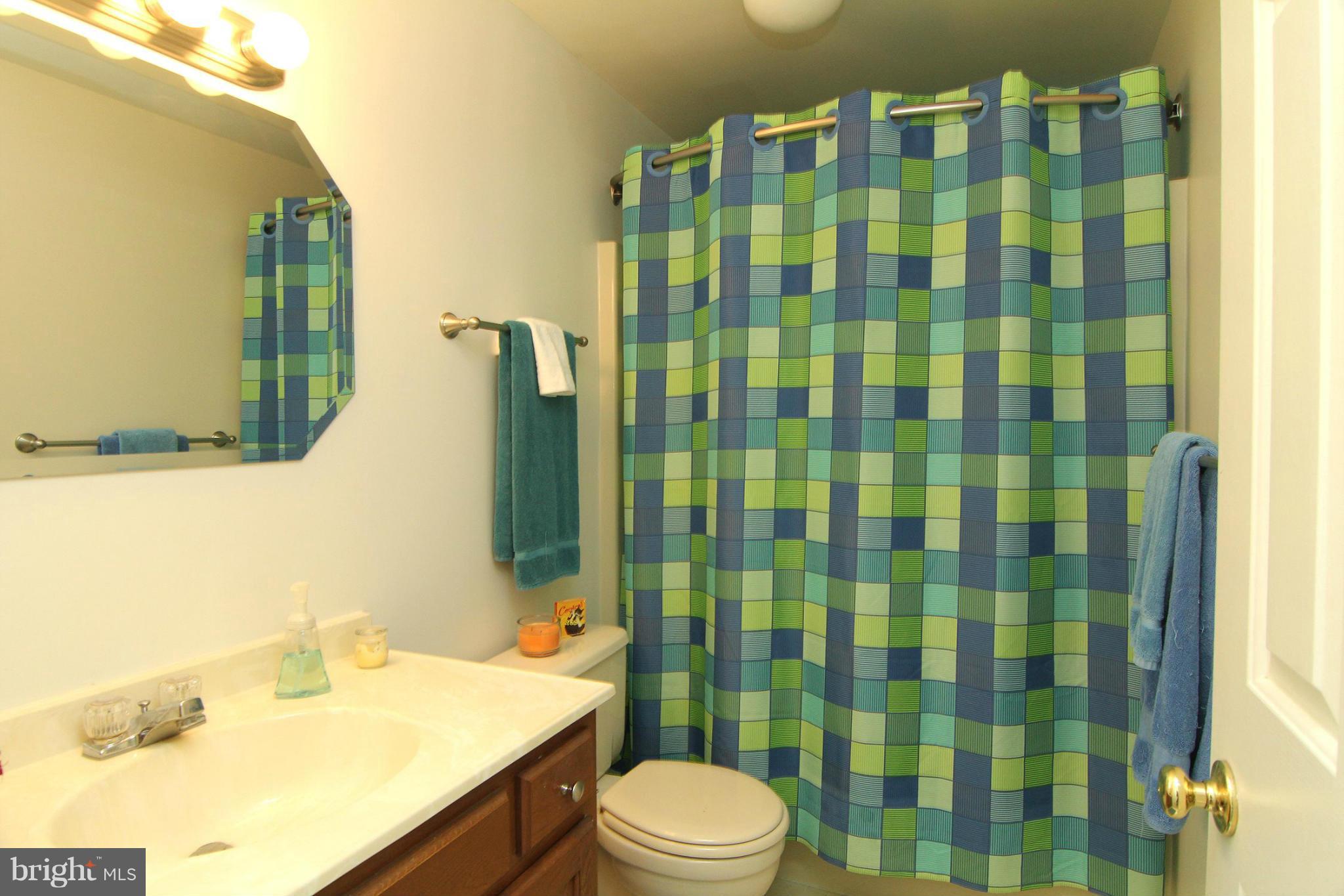 4770 South Reyburn Court Mount Airy, MD 21771 - Photo 21 of 30 Bath