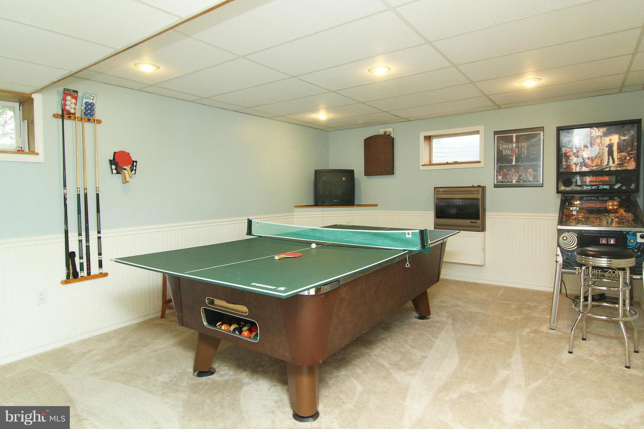 4770 South Reyburn Court Mount Airy, MD 21771 - Photo 22 of 30 Basement