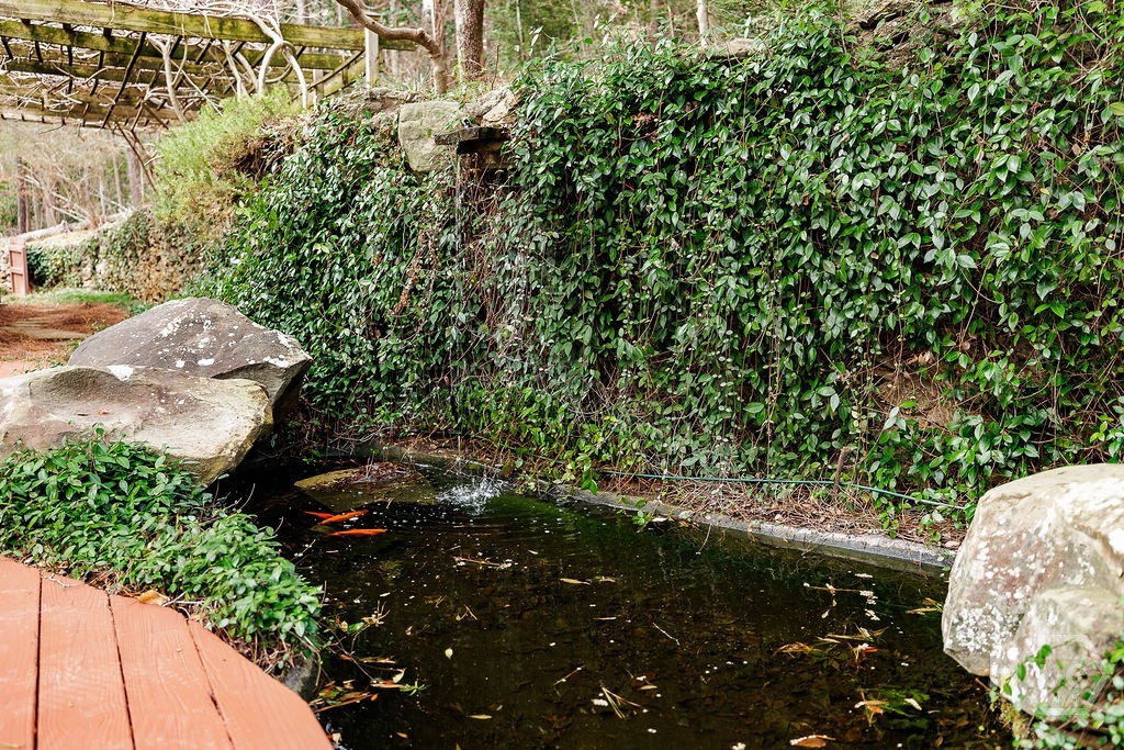 550 Fortson Road Athens, GA 30606 - Photo 41 of 50 Koi pond with Koi!