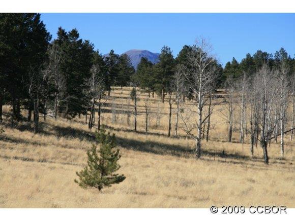2112 Singletree Road Hartsel, CO 80449 - Photo 1 of 1 Gallery Image 1