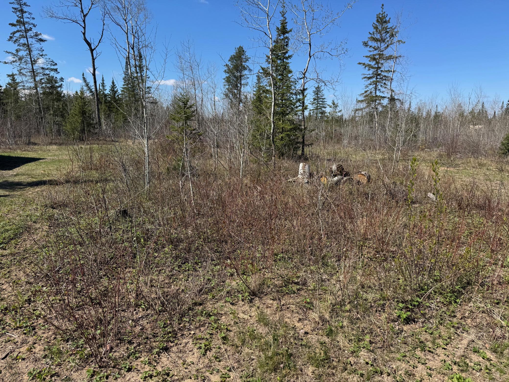 Tbd Thompson Forest Road Roseau, MN 56751 - Photo 10 of 12