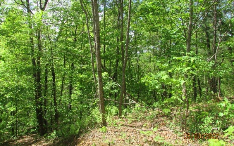 Additional View