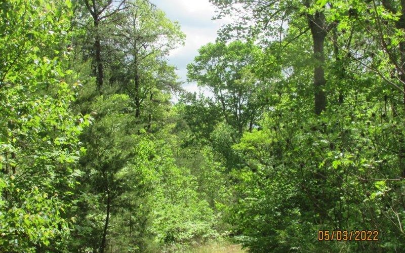 Additional View