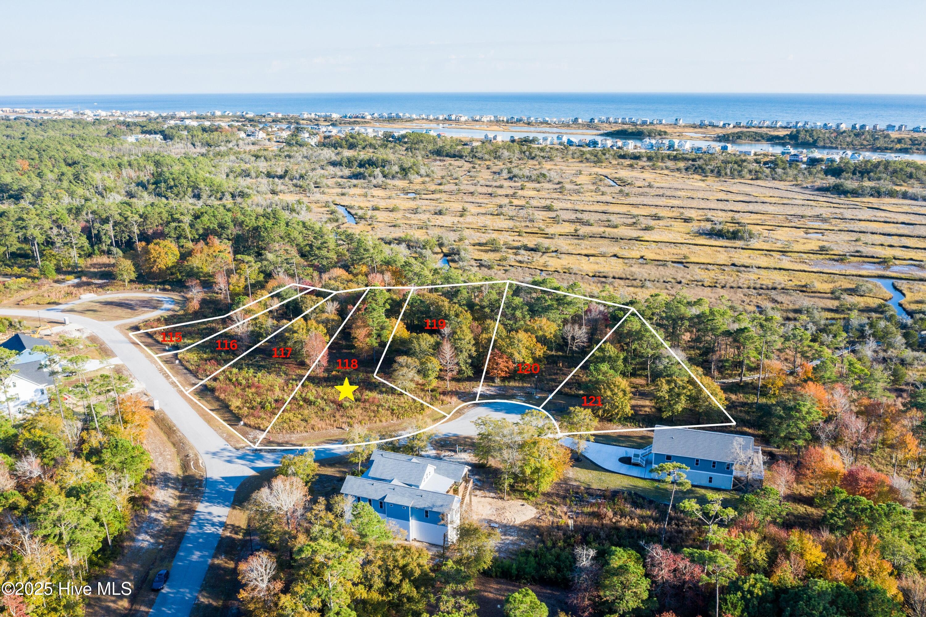 401 Harrison Court Sneads Ferry, NC 28460 - Photo 2 of 26 lot 118