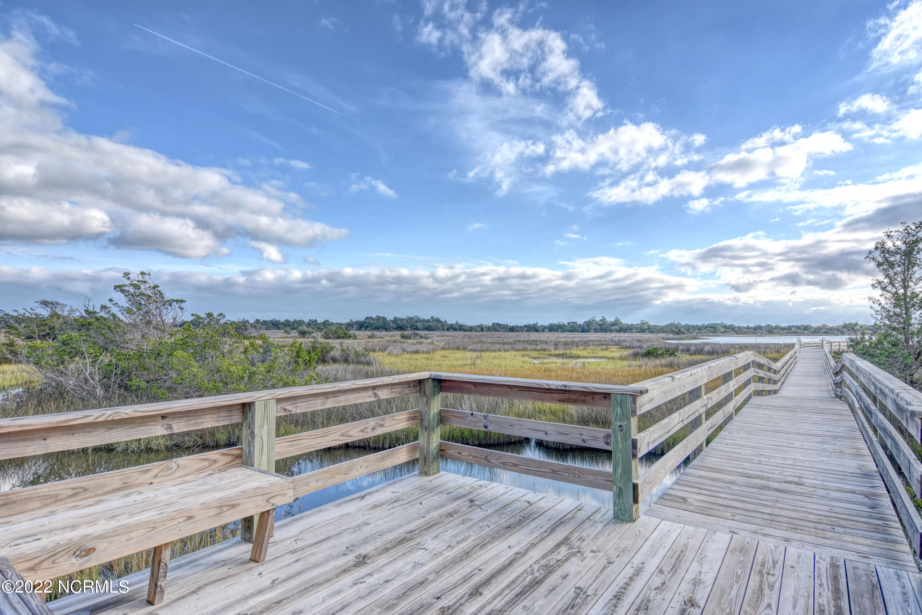 401 Harrison Court Sneads Ferry, NC 28460 - Photo 26 of 26 DSC_9746_7_8