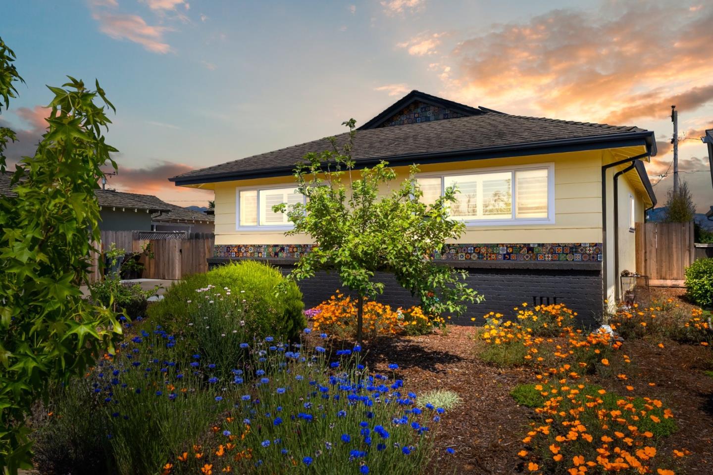 a view of a house with a large tree and a yard in front of it