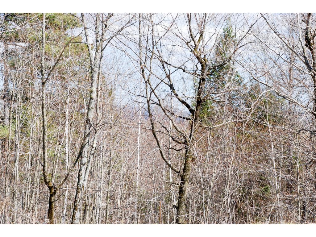 67 Grandview Road Hillsborough, NH 03244 - Photo 7 of 7