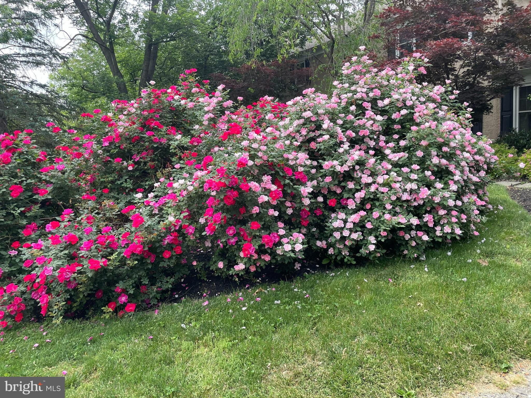 785 Gulph Road Wayne, PA 19087 - Photo 33 of 38