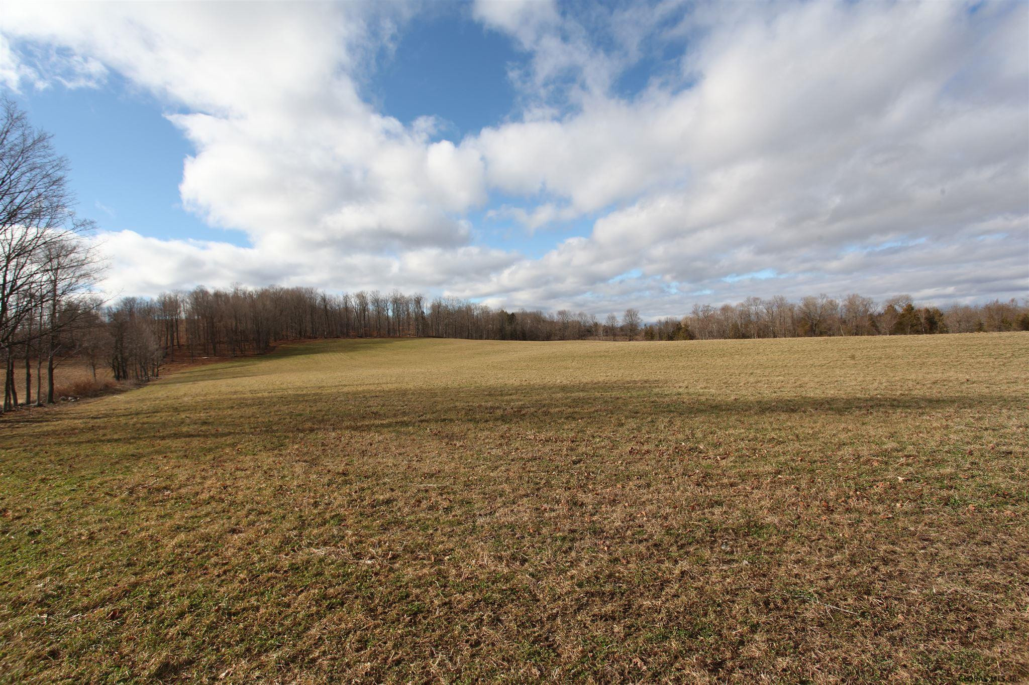 419 Parsons Road Sharon, NY 13459 - Photo 65 of 74 Photo 65