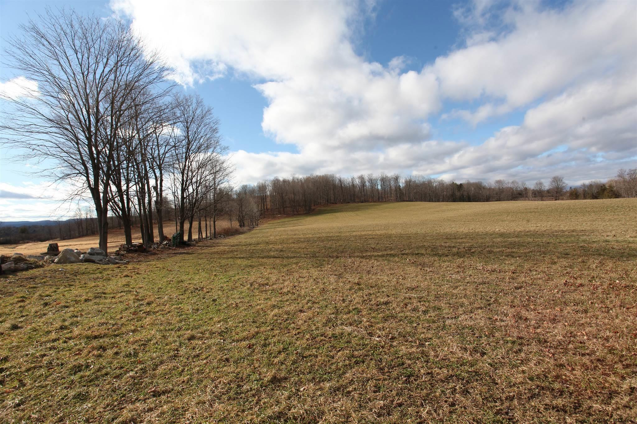 419 Parsons Road Sharon, NY 13459 - Photo 66 of 74 Photo 66