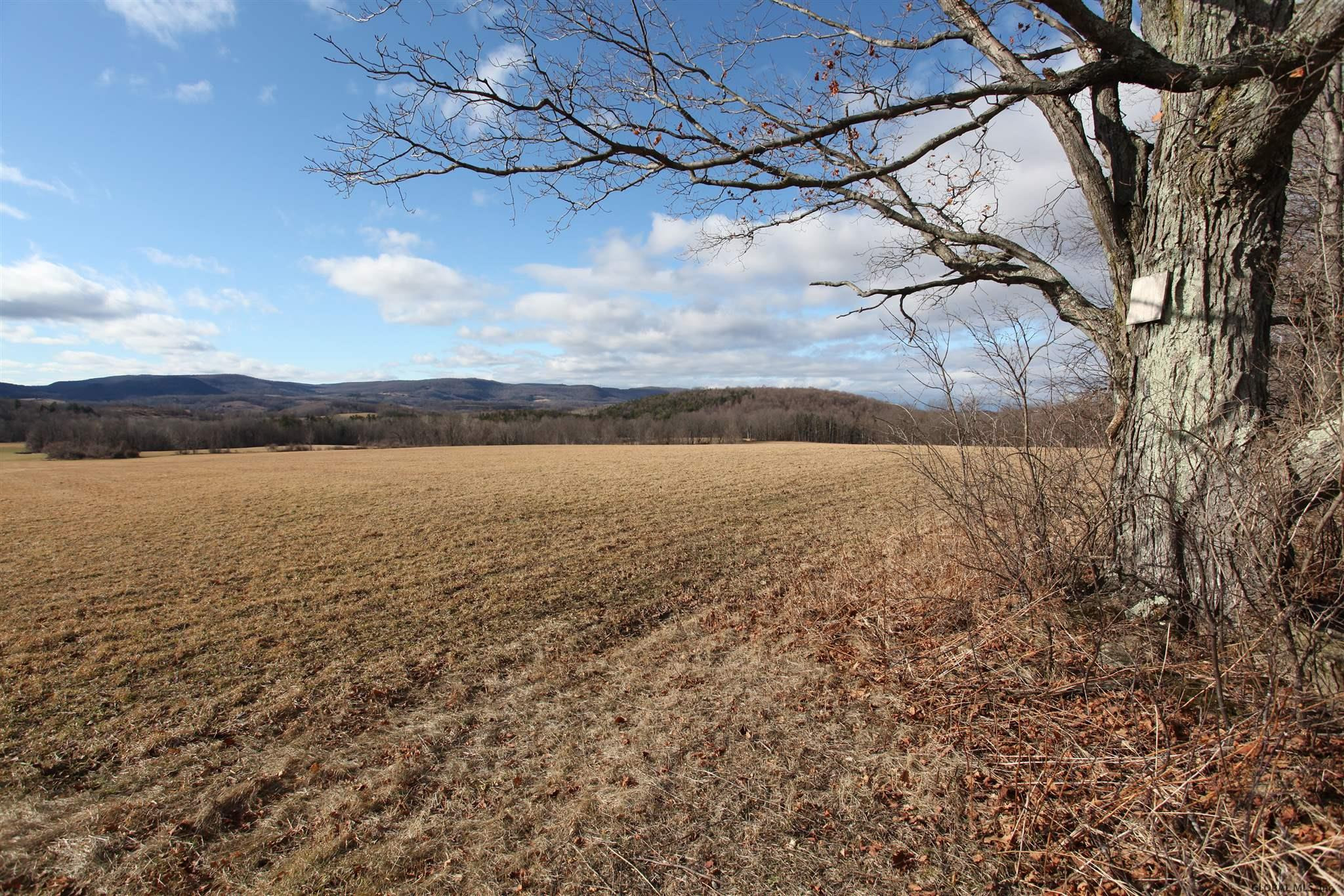 419 Parsons Road Sharon, NY 13459 - Photo 67 of 74 Photo 67