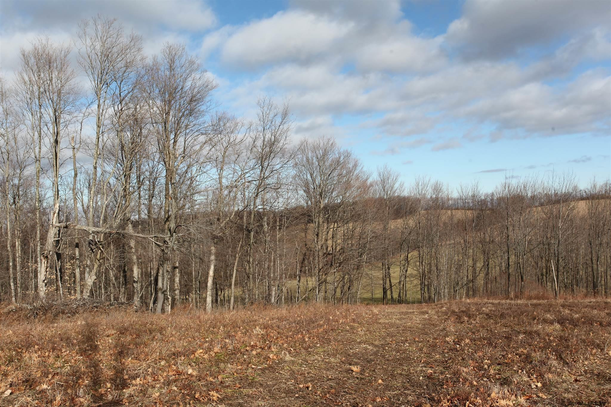 419 Parsons Road Sharon, NY 13459 - Photo 71 of 74 Photo 71
