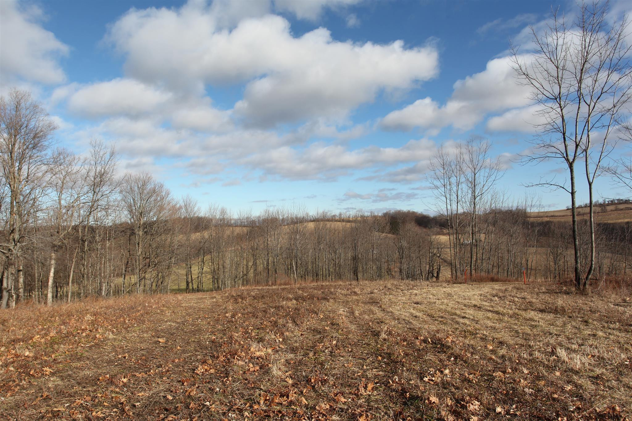 419 Parsons Road Sharon, NY 13459 - Photo 72 of 74 Photo 72