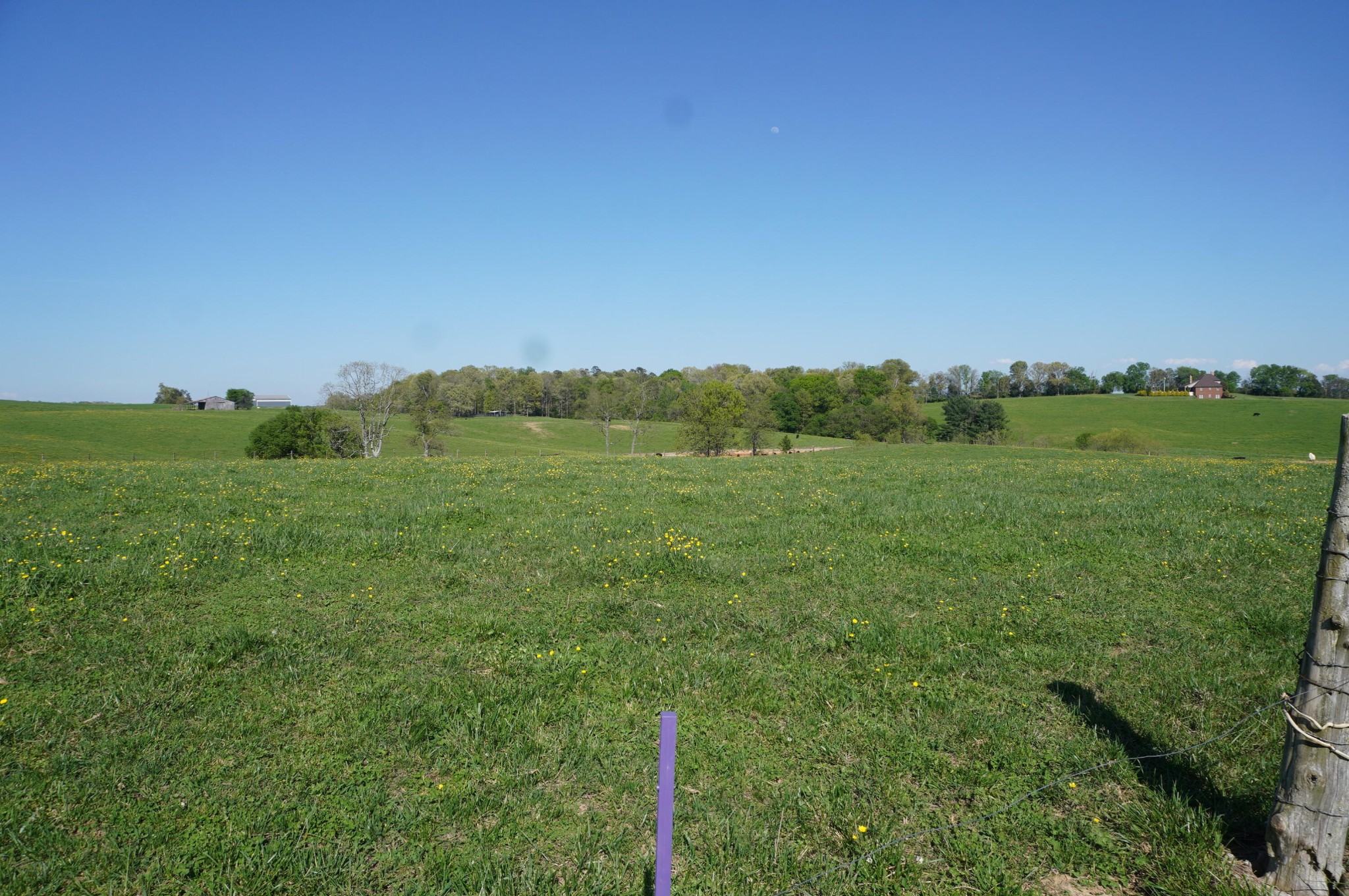 3030 Falcon Road White Pine, TN 37890 - Photo 8 of 44 Gallery Image 8