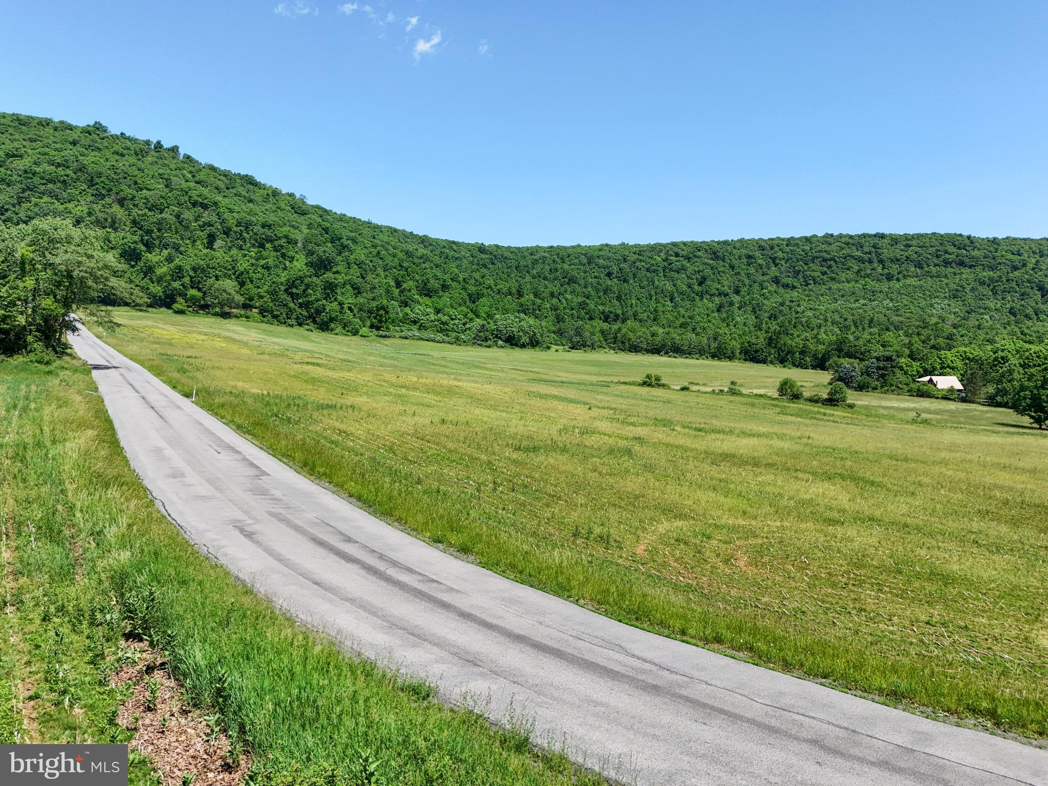 0 Steele Hollow Road Julian, PA 16844 - Photo 14 of 19