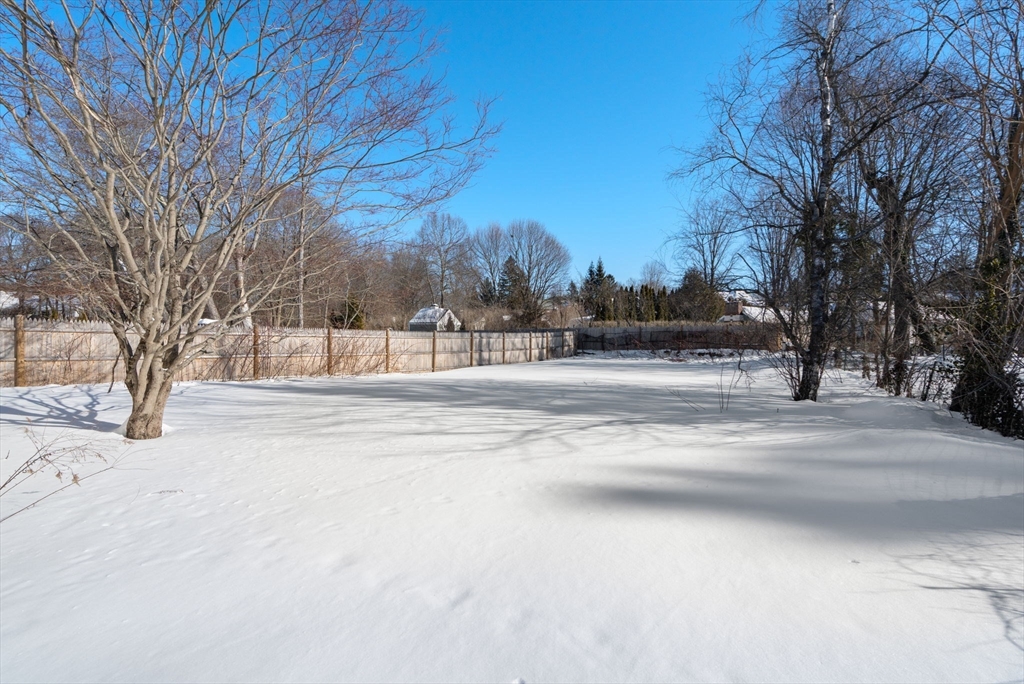 28 Rice Street Wellesley, MA 02481 - Photo 2 of 23