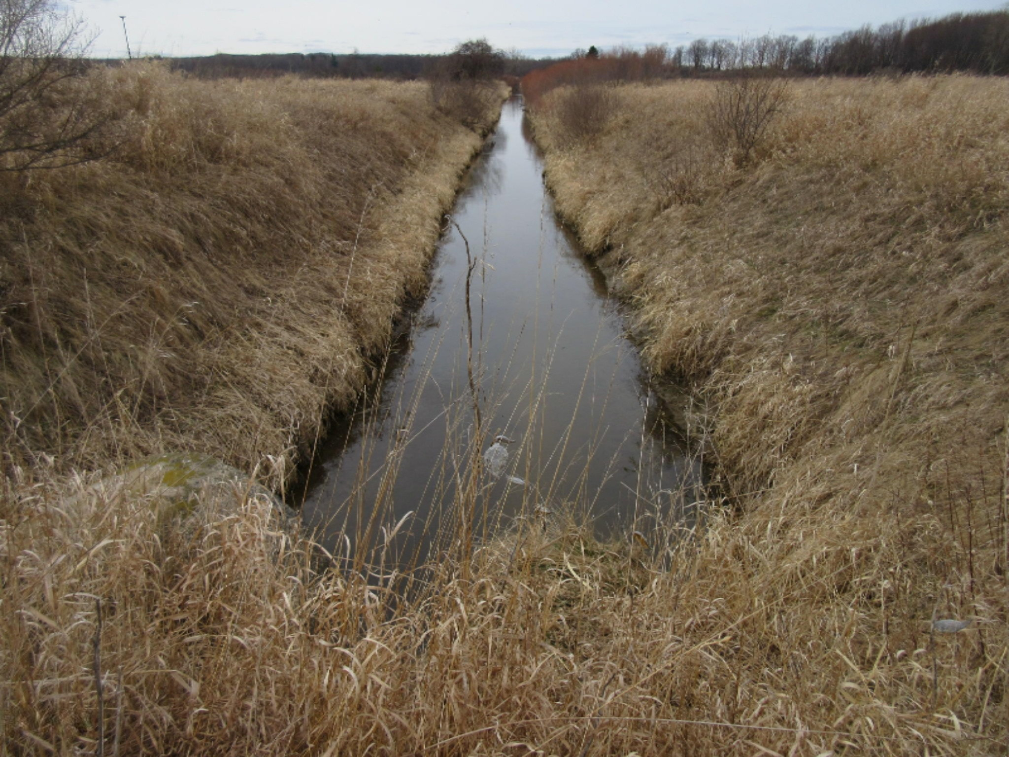 Almy Road Lakeview, MI 48850 - Photo 20 of 73 IMG_8928