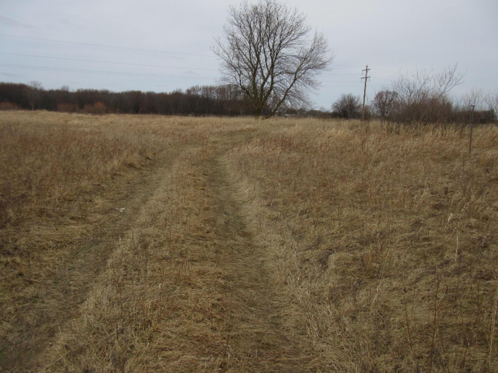 Almy Road Lakeview, MI 48850 - Photo 22 of 73 IMG_8934