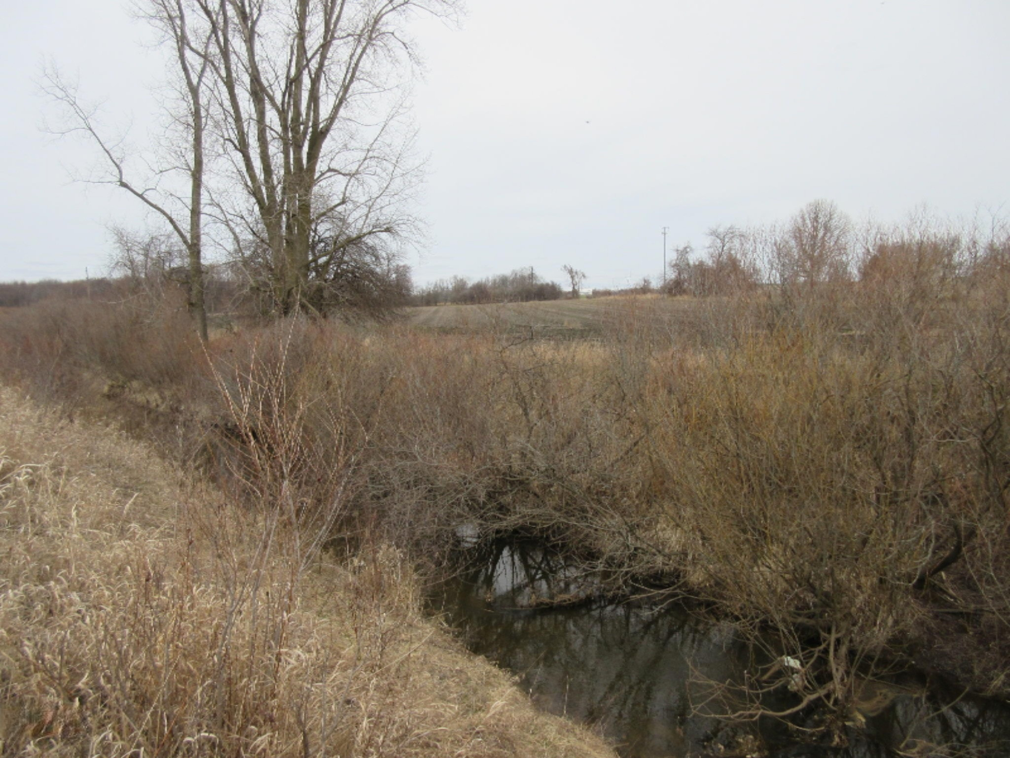 Almy Road Lakeview, MI 48850 - Photo 25 of 73 IMG_8946