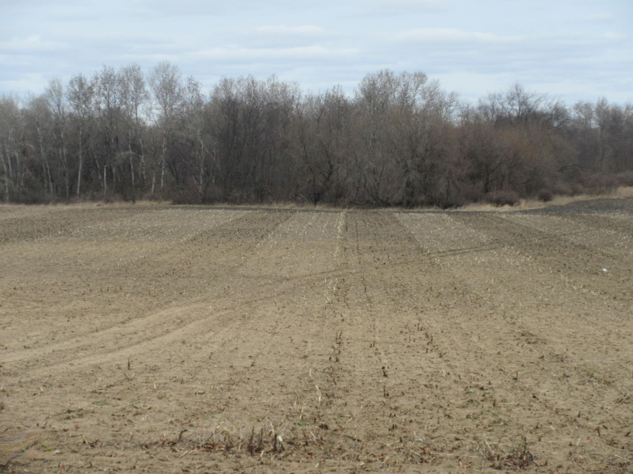 Almy Road Lakeview, MI 48850 - Photo 5 of 73 IMG_8898