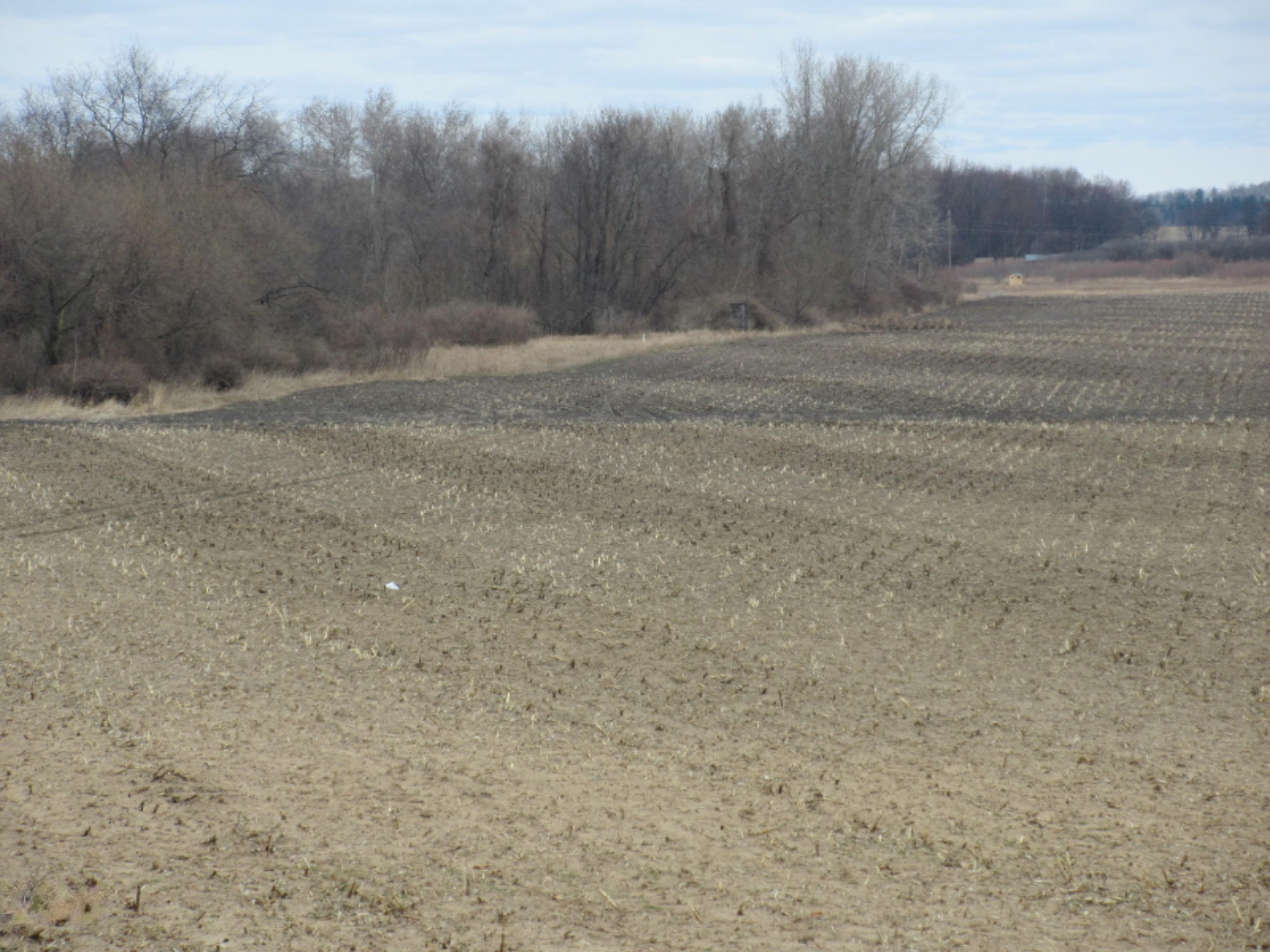 Almy Road Lakeview, MI 48850 - Photo 6 of 73 IMG_8899