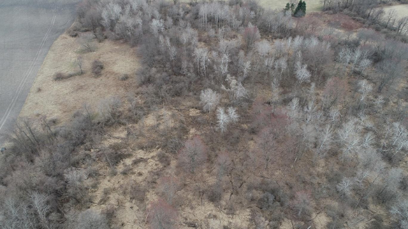 Almy Road Lakeview, MI 48850 - Photo 71 of 73 DJI_0018