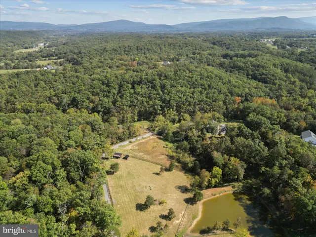 a view of a green field with lots of bushes