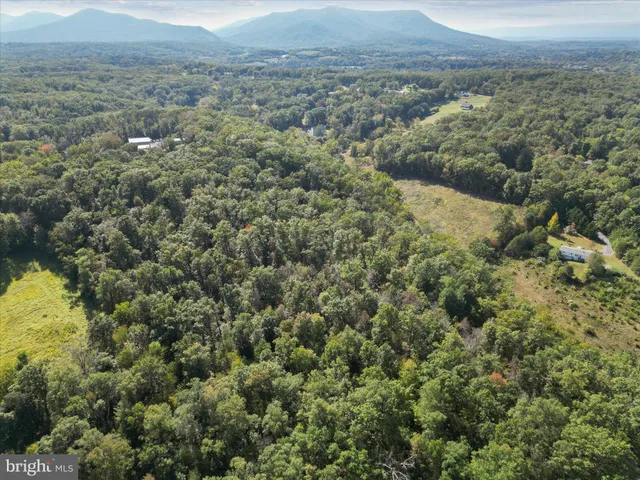 an aerial view of residential houses with outdoor space and trees