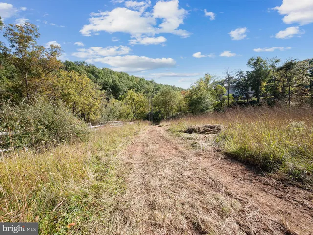 a view of a yard with wooden floor