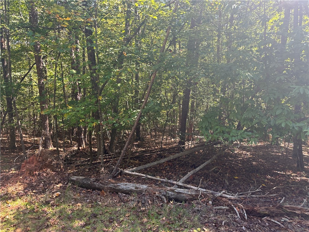 0 North Arrowhead Drive Westminster, SC 29693 - Photo 3 of 7