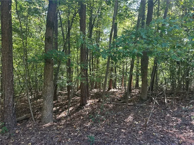 $50,000 | 0 North Arrowhead Drive, Westminster, SC 29693