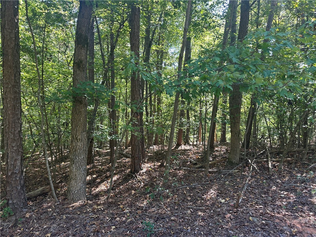 0 North Arrowhead Drive Westminster, SC 29693 - Photo 4 of 7