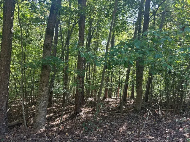 $50,000 | 0 North Arrowhead Drive, Westminster, SC 29693