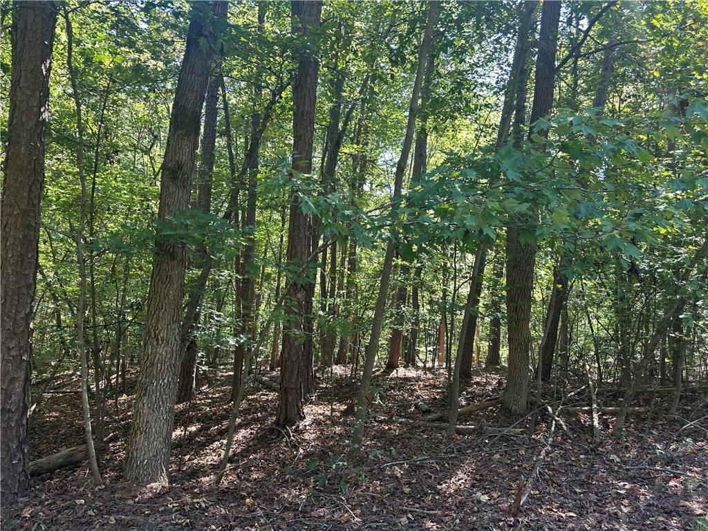 0 North Arrowhead Drive Westminster, SC 29693 - Photo 5 of 7