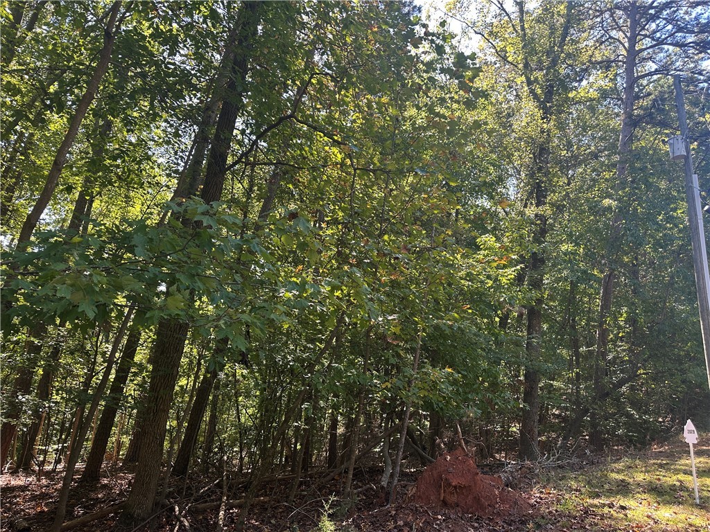 0 North Arrowhead Drive Westminster, SC 29693 - Photo 6 of 7