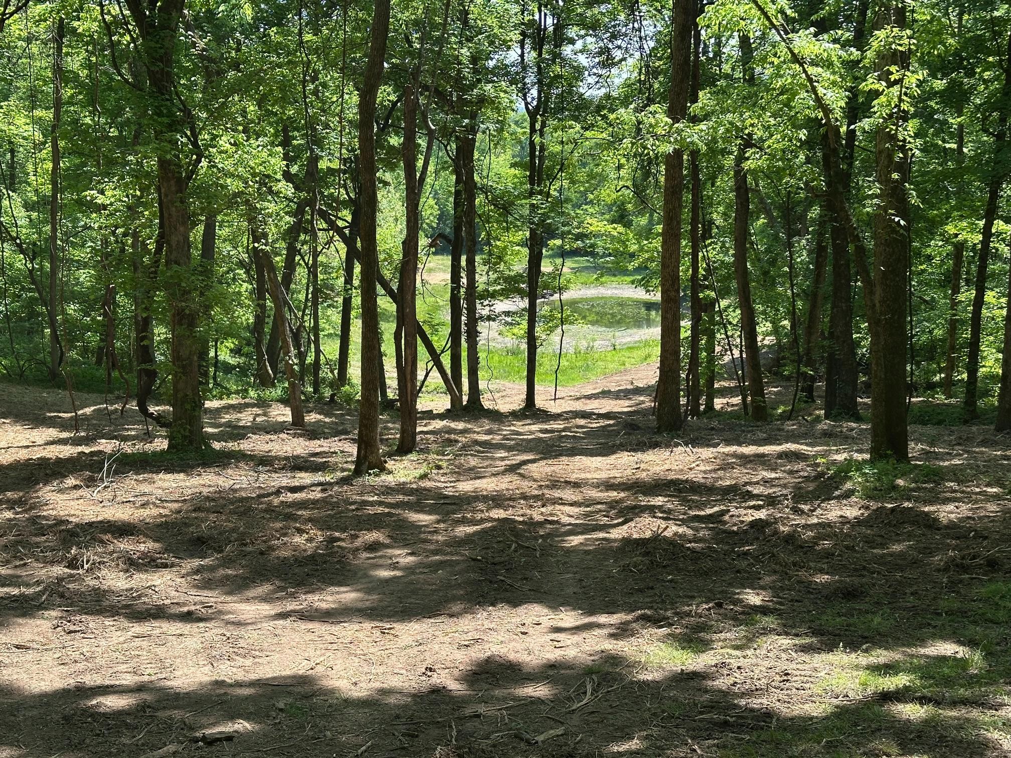 10515 Paw Paw Springs Road Arrington, TN 37014 - Photo 4 of 13 a view of outdoor space with trees